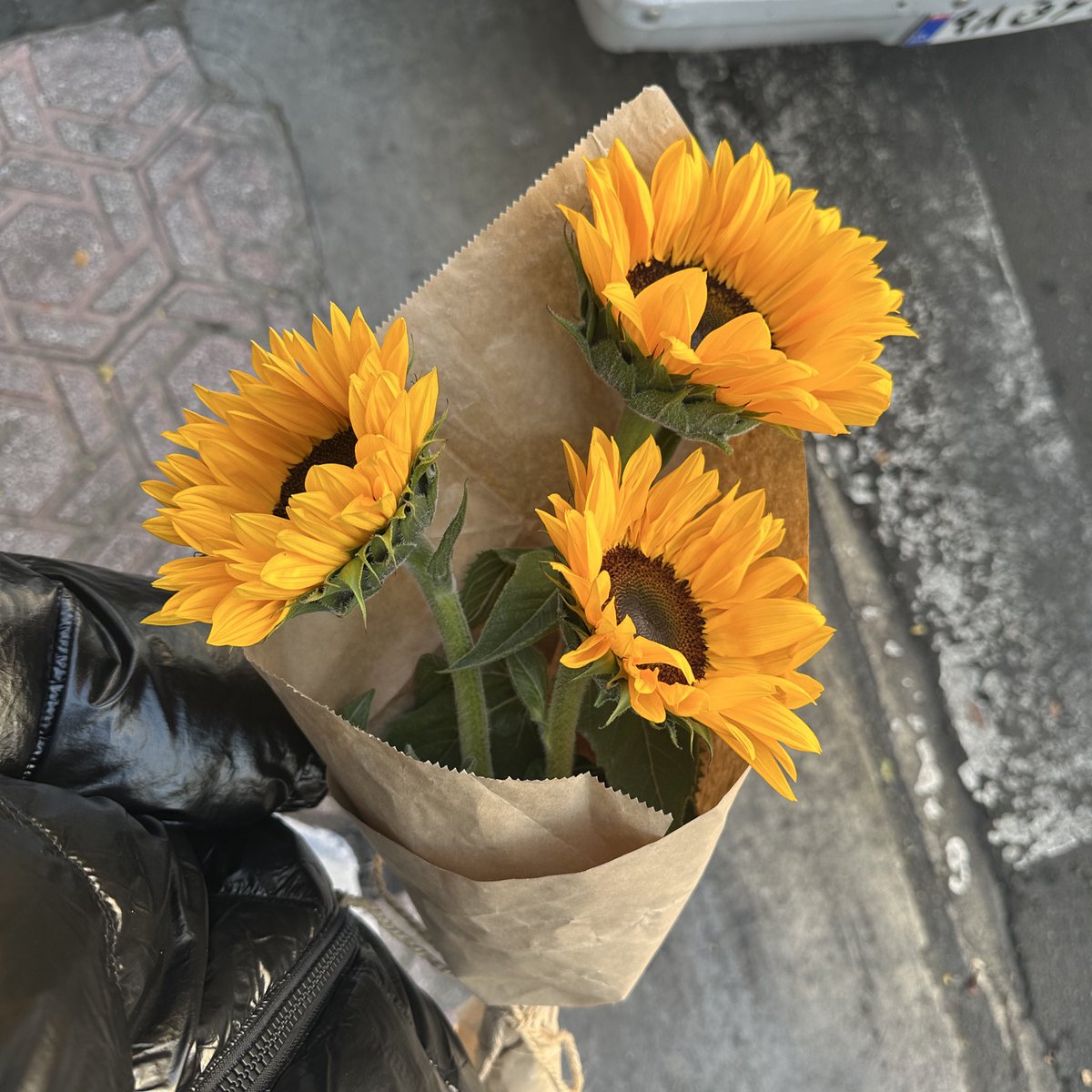 sepdaaal's tweet image. ابان 2🐡