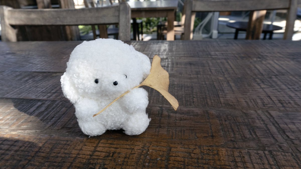 josemaru_model's tweet image. ずといしょ　やくそく　ちて