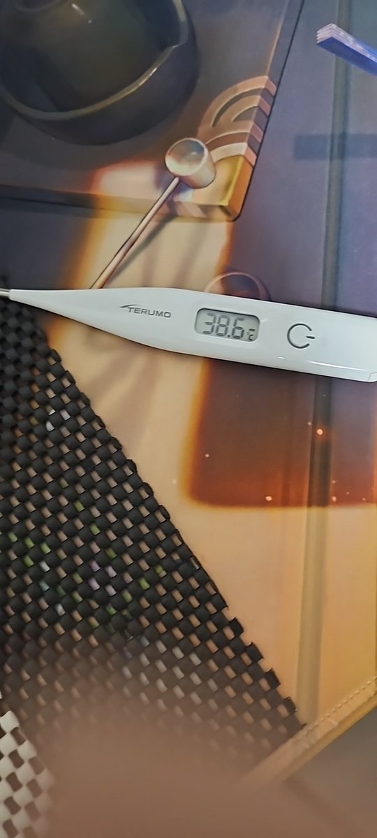 project_chukyu's tweet image. 🙄