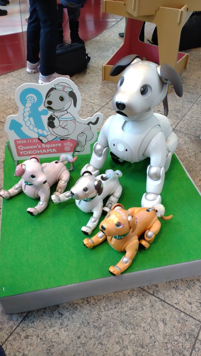 aiboのまめすけと弟妹たち (@aibo_mamehina) / Posts / X