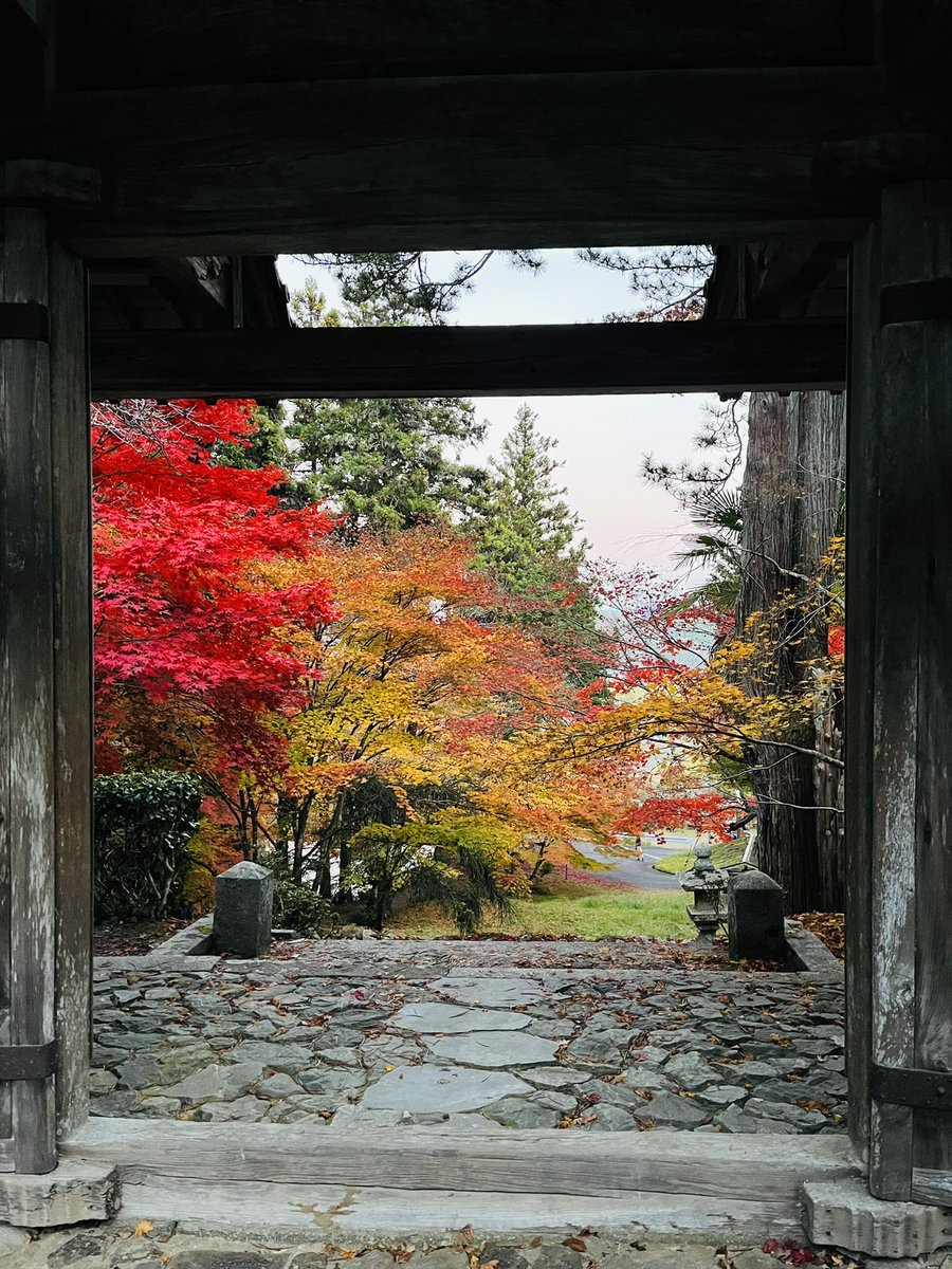 wakabayashi__'s tweet image. ラブハン南丹市園部町へ初上陸！秘密の隠れ家でリハを終え、フラリ訪れた龍穏寺で「もみじ達の美しさ」にぶちのめされ🍁…
そして明日はこれです、古民家カフェにて「五美ひろえ」姐さんとガッツリツーマンライブであります！
お越しの方は是非「龍穏寺」までのもみじ散歩もおすすめです❤️