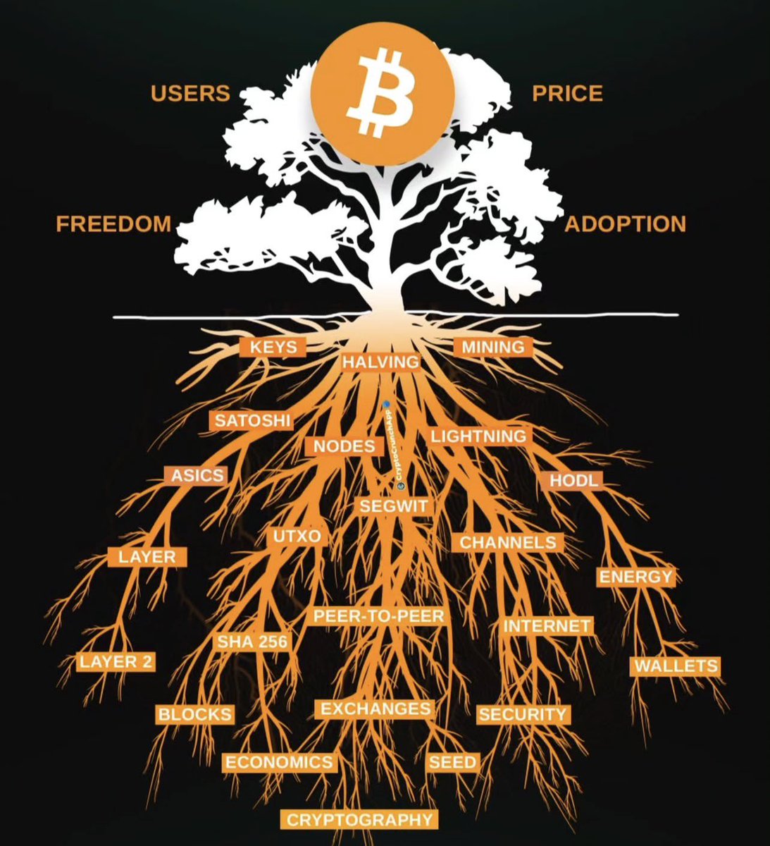 BTCBreakdown's tweet image. 