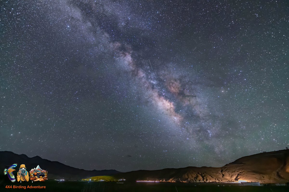 indian_pitta's tweet image. Just a picture and no words…. 
Let your work speak….