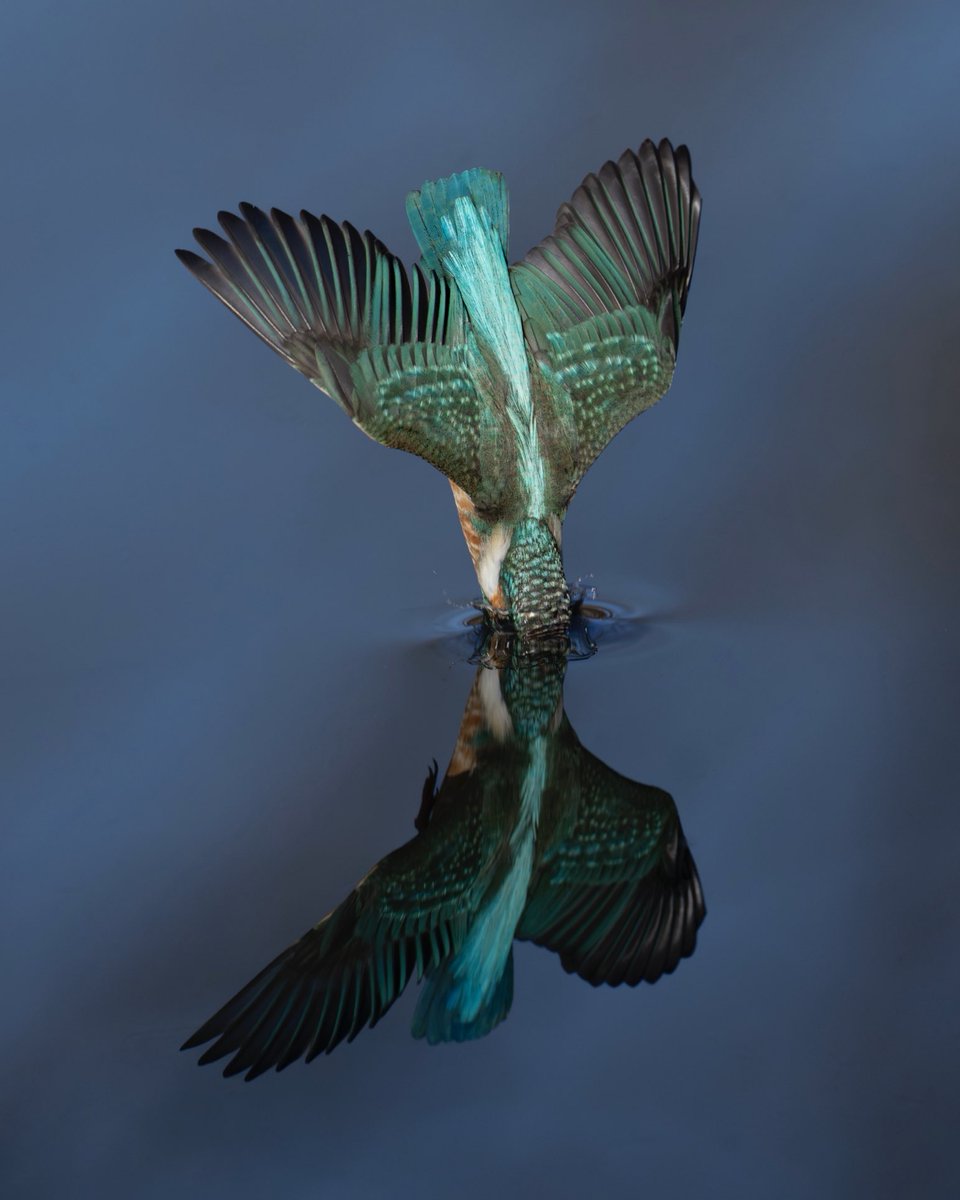 岡本幸太郎 (@okamotokwasemi) / Posts / X