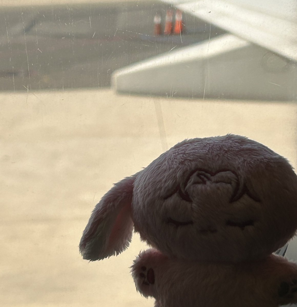 츄츄토리님이랑 제주도 🤝🏻