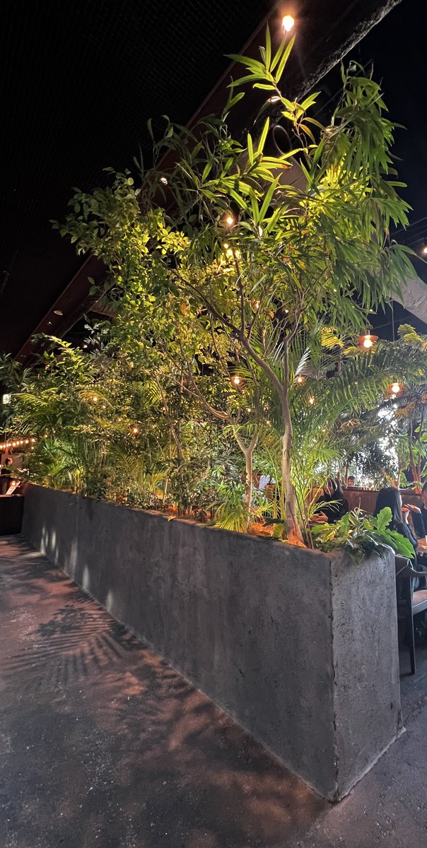 THE STOA.｜爬虫類専門店in東京 tweet media