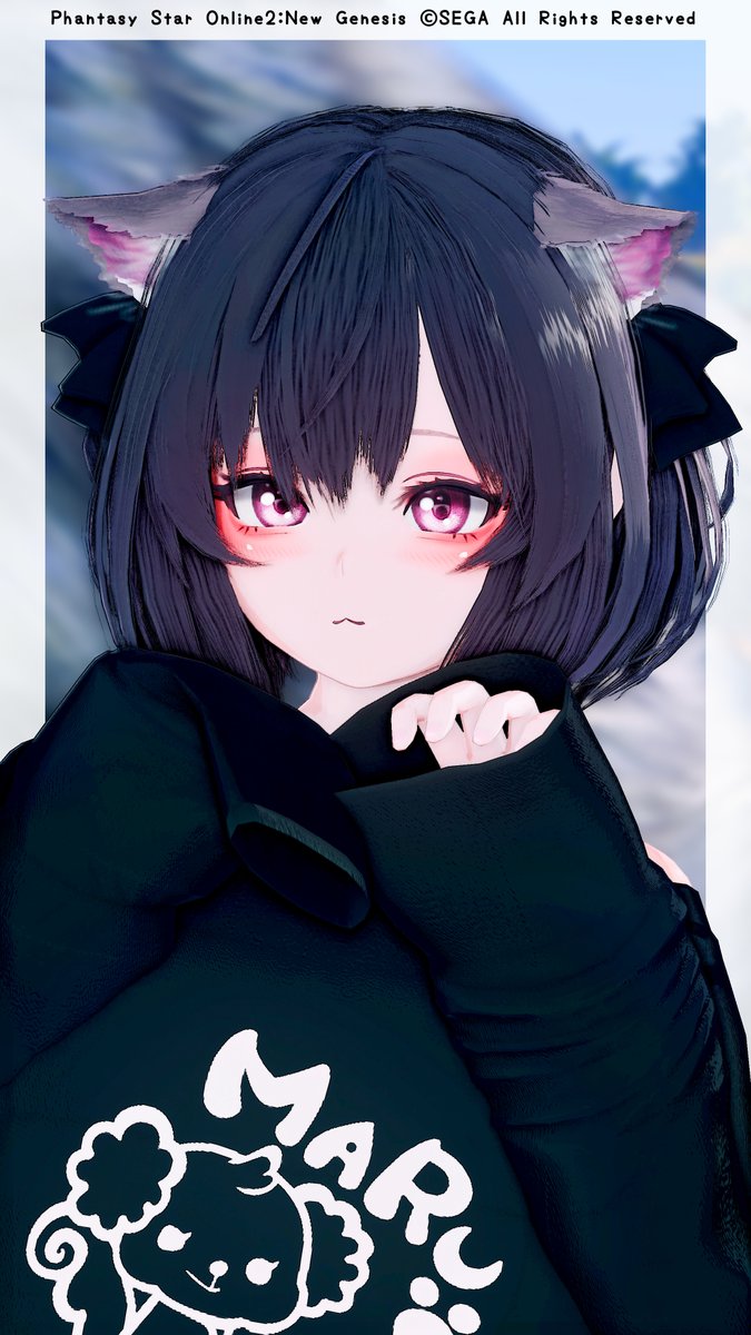 #PSO2NGS_SS︎ 
久しぶりのSS…。
SSは撮ってなかったけどお顔少し変えました。