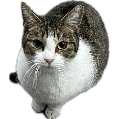 t2525v's tweet image. Happy Birthday. 
I wish you a wonderful year🎂🎁🎀🎊🎉🏆🍻🍀🐧❄️🐧❄️🍀🌈㊗️🍎🎈🔫🍀🥂🍾🎈🍀🎈🎈🎈