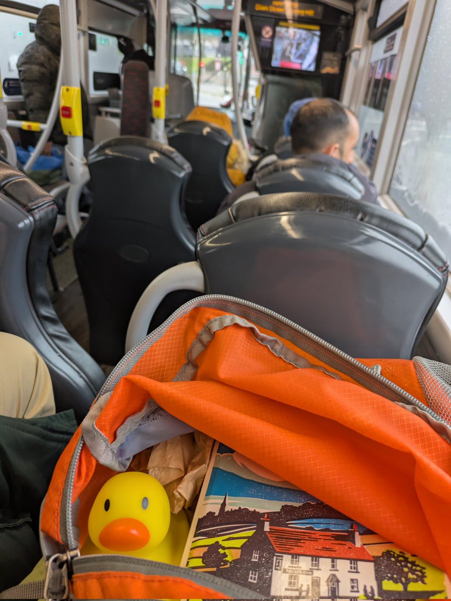 Si BRAPA Everitt tweet media