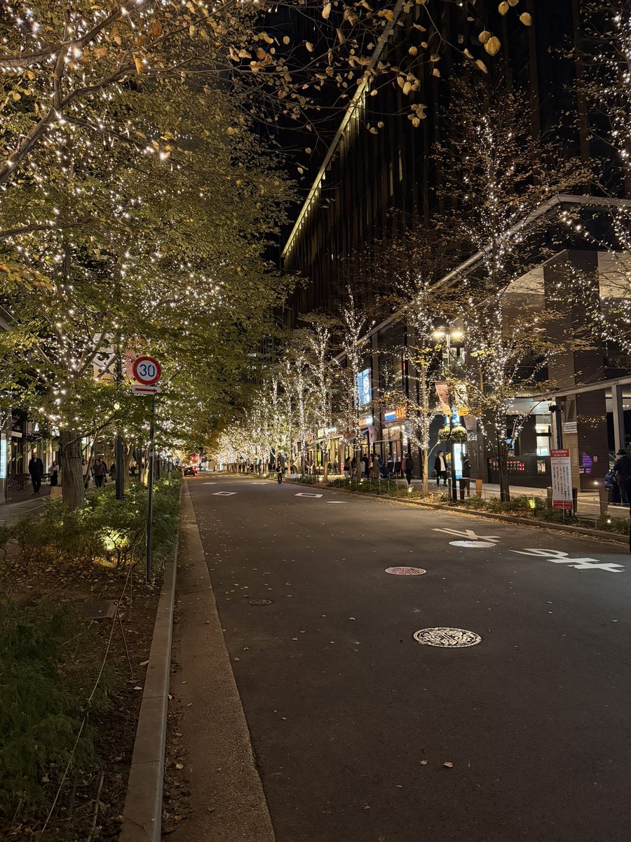 Retta_apex's tweet image. 丸の内のイルミネーション見て、
皇居前でマッターホルンの塊肉食べて、
幸せ感じた。