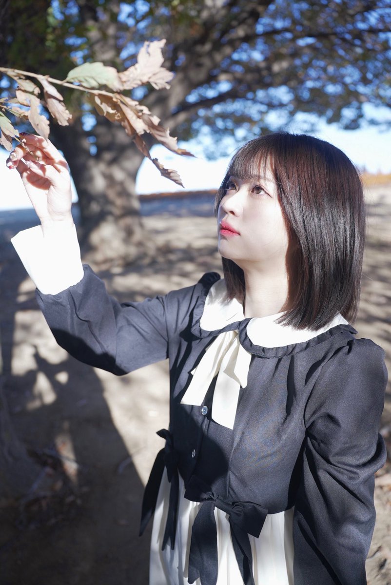 ともみん＊🐱恋白坂46/YKY48 (@tomominnn816) / Posts / X