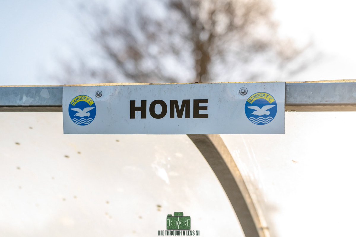 Bangor FC tweet media