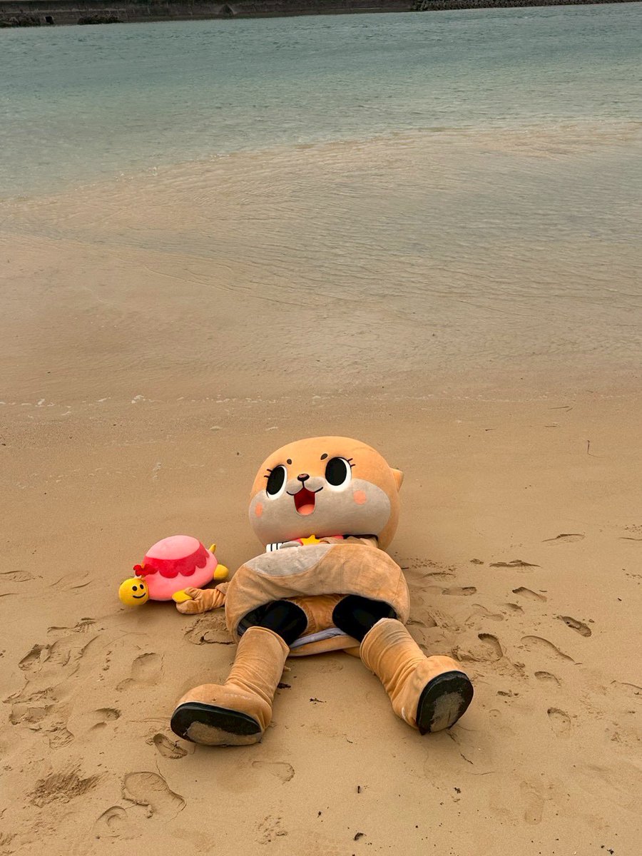 公式：ちぃたん☆沖縄 (@Chiitan_Okinawa) / Posts / X