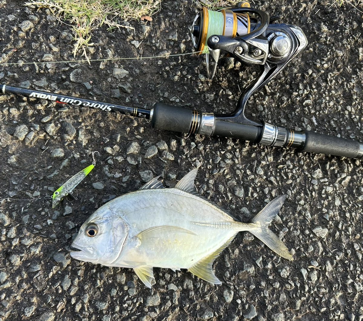 celsuper2's tweet image. 今年3回目の伊豆メッキでした

前半釣れな過ぎて焦ったけど夕方群れが入ってくれて助かった〜