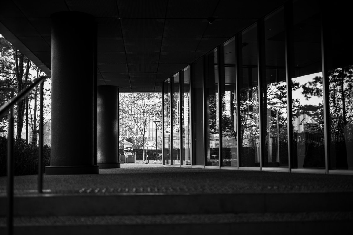 Leica M11 Monochrom｜APO-Summicron-M 50mm F2.0 ASPH.