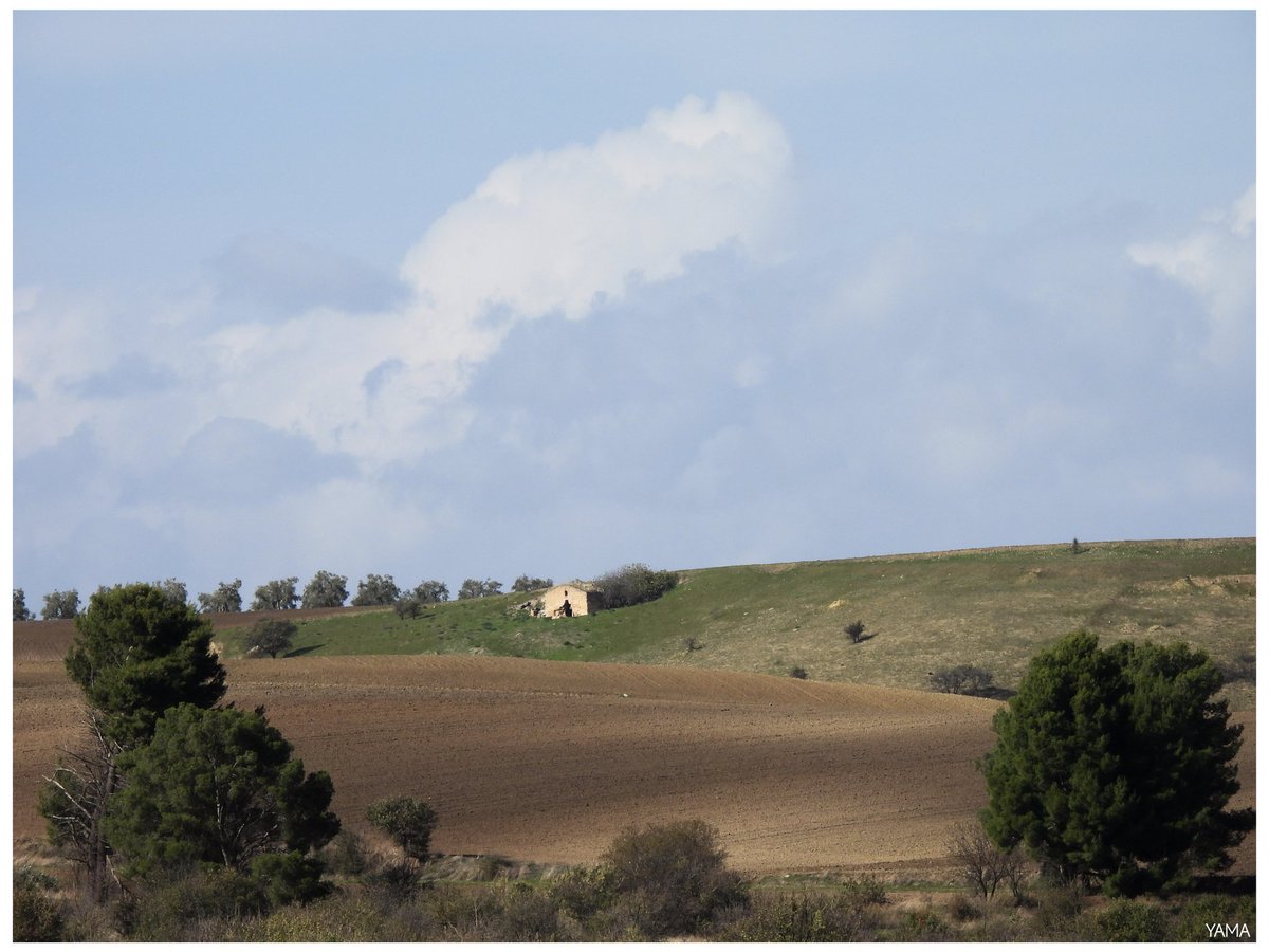 Yama_VP's tweet photo. • Locone, Some More Landscapes
#Landscape #House #Hills #lagolocone #Locone #Italy #Puglia #Apulia #Basilicata #Nature #Lake #BW
#Photography #Landscapes
#Afni #Yama山 #山 https://t.co/FkVHYxedrJ