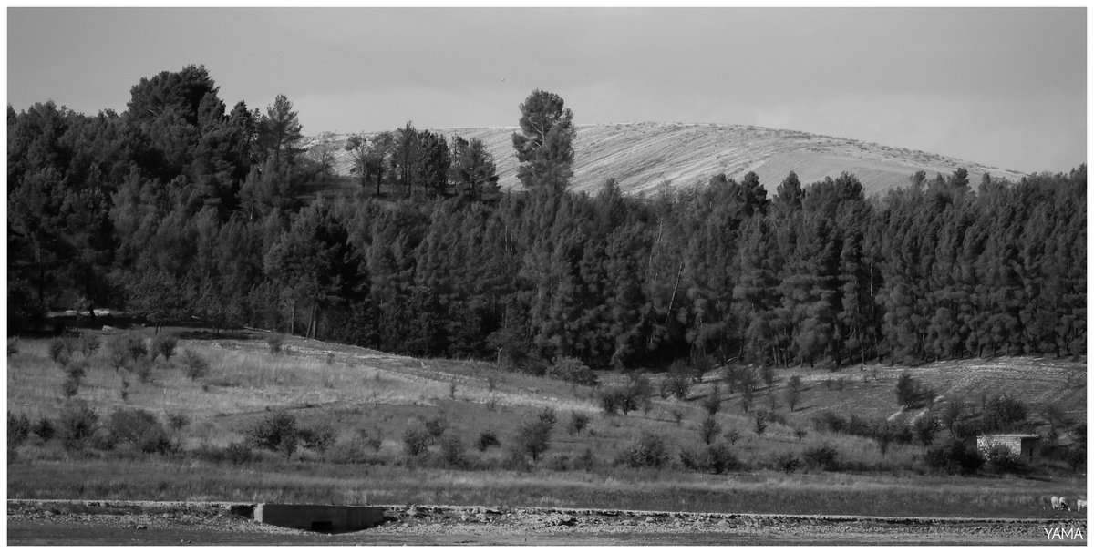 Yama_VP's tweet photo. • Locone, Some More Landscapes
#Landscape #House #Hills #lagolocone #Locone #Italy #Puglia #Apulia #Basilicata #Nature #Lake #BW
#Photography #Landscapes
#Afni #Yama山 #山 https://t.co/FkVHYxedrJ