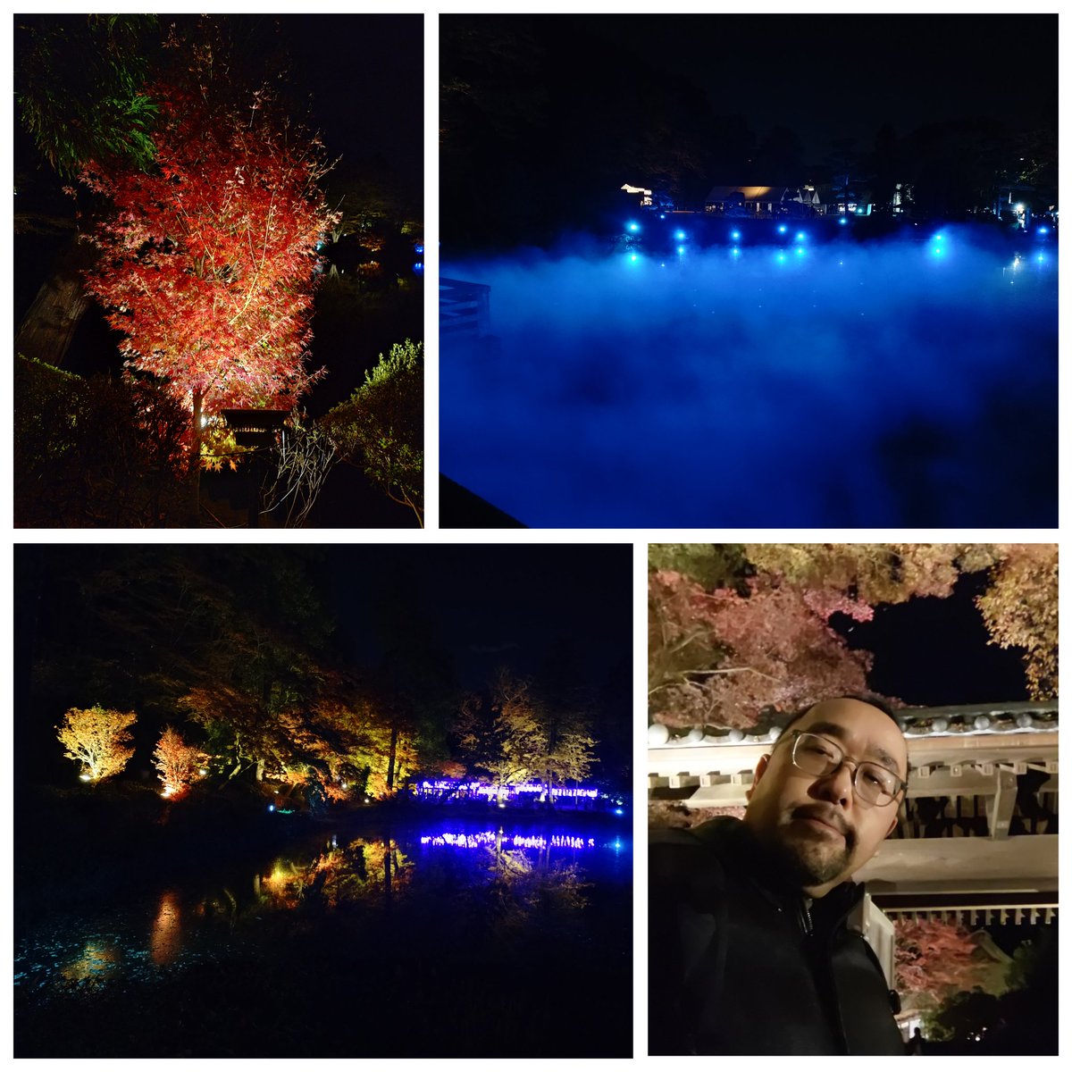 (前のポストの続き)…というのは冗談で、薬師池公園という所で紅葉のライトアップを観て来たってワケ。
まだ完全には色づいてなかったけど、本当に綺麗だった！😂
