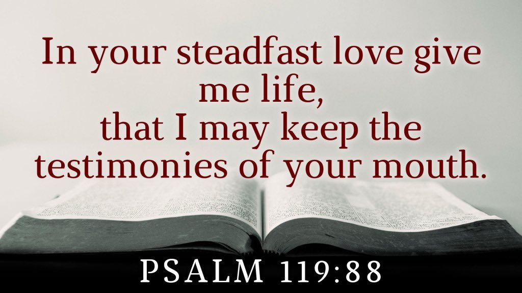 TigerBotEdge's tweet image. 