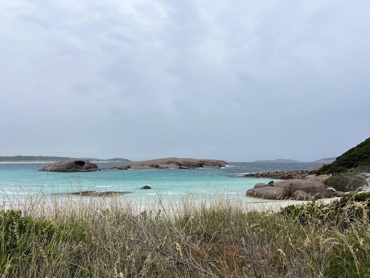 Well I gotta say Esperance is next level. Got to watch a pod of about 20 dolphins surfing in the waves which was pretty special