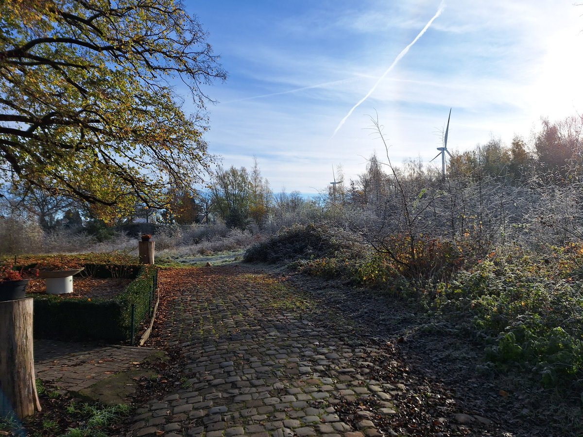 Susanne Verberk tweet media