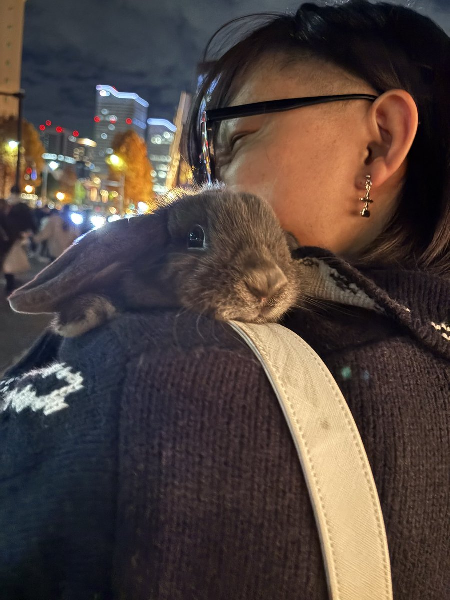 みけ (@mike_01043) / Posts / X