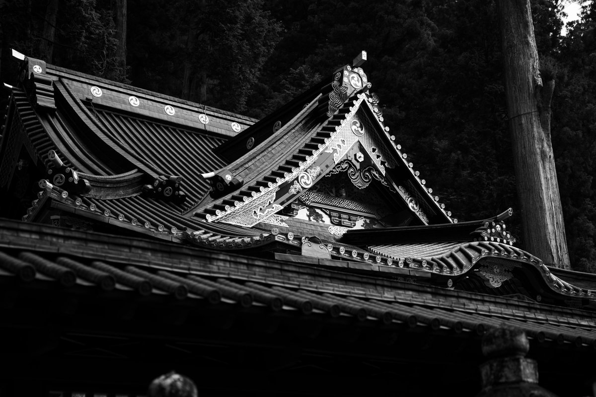 AkimotoMiii tweet media