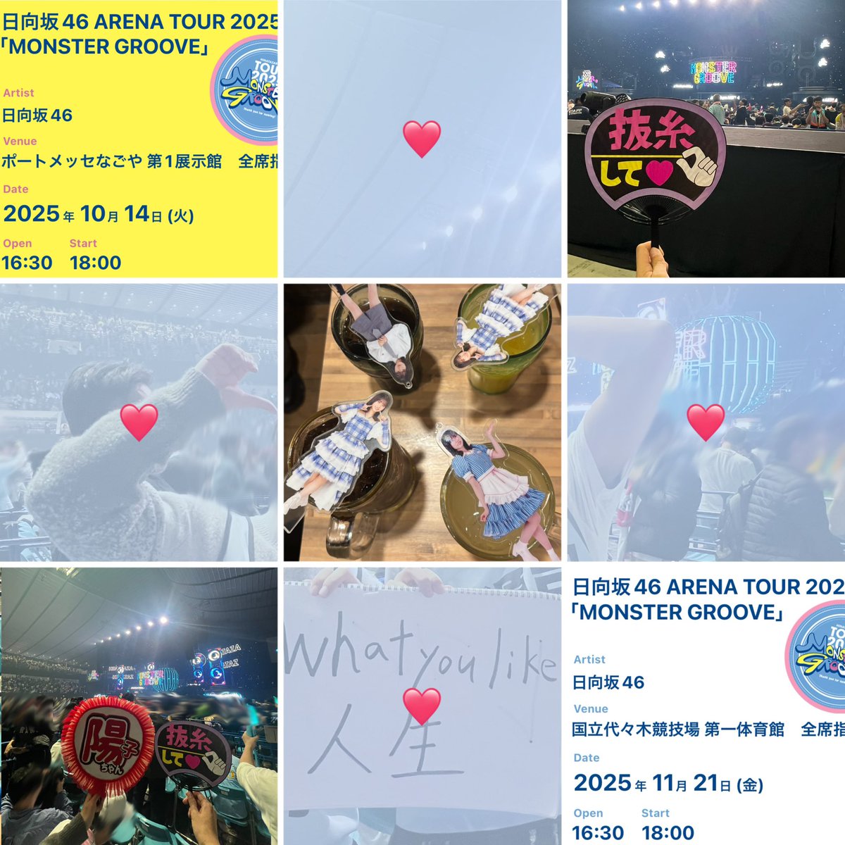 モングル人生‼️ What you like!人生‼️ 正源司陽子人生‼️ 日向坂人生