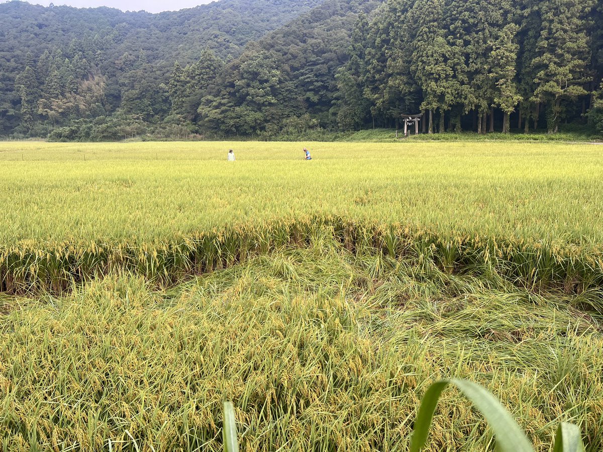 田舎の者mo-chan (@moss0782ga) / Posts / X