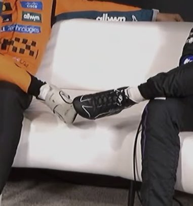 sainzinnorris's tweet image. white swan and black swan