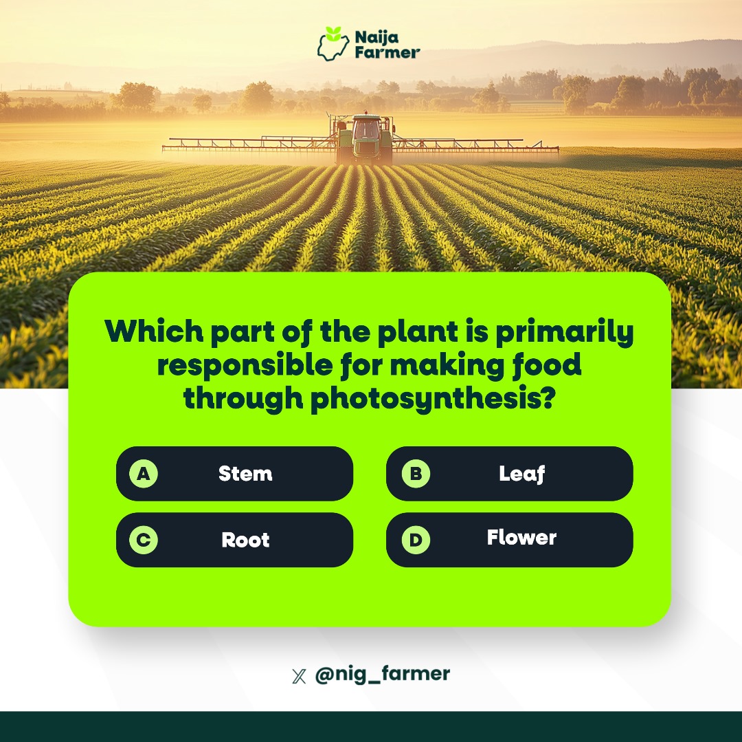 Nig_Farmer's tweet image. #NaijaFarmerTest 

Agricultural Brain Teaser

Test your Agricultural Science knowledge.

Retweet to your followers.