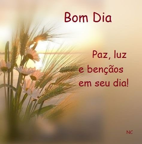 Feliz sábado para todos! 🙏 🇧🇷