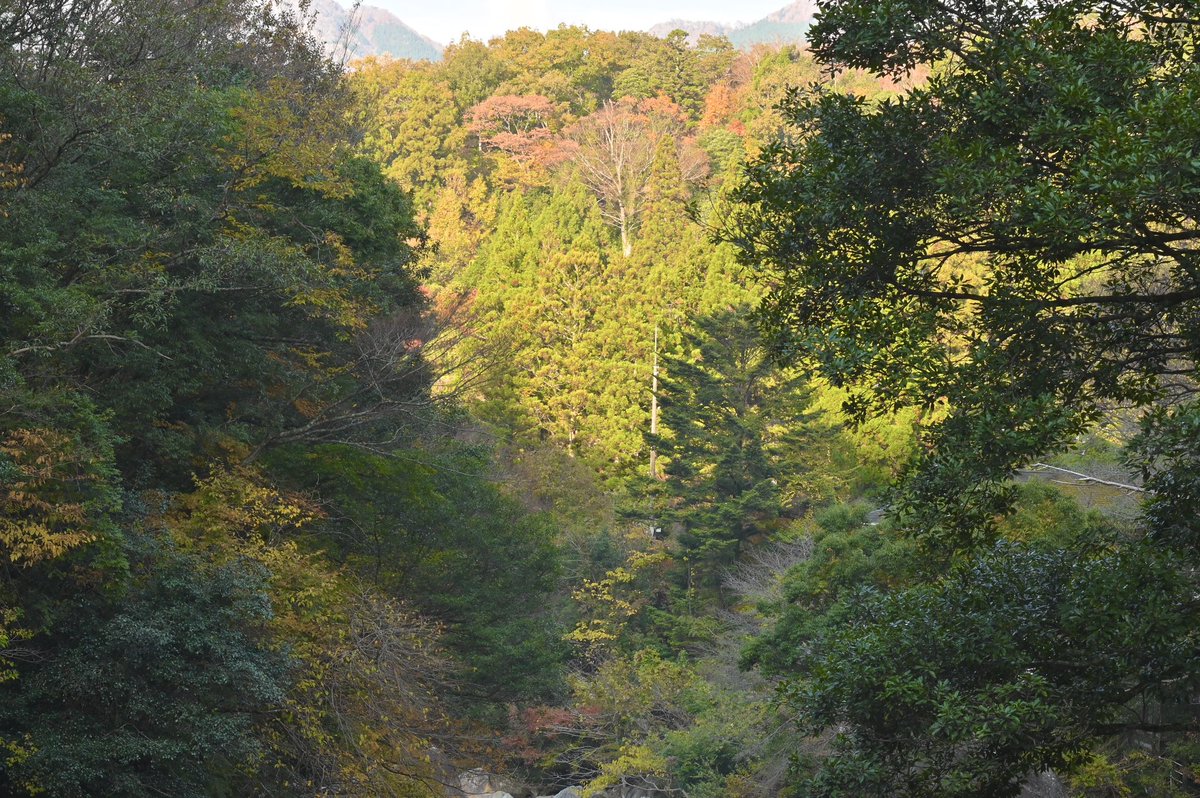 CyPm4f's tweet image. #写真好きな人と繋がりたい
鹿川渓谷その②
と、途中の岩山🏔️
