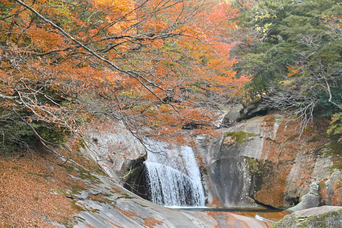 CyPm4f's tweet image. #写真好きな人と繋がりたい
鹿川渓谷その②
と、途中の岩山🏔️