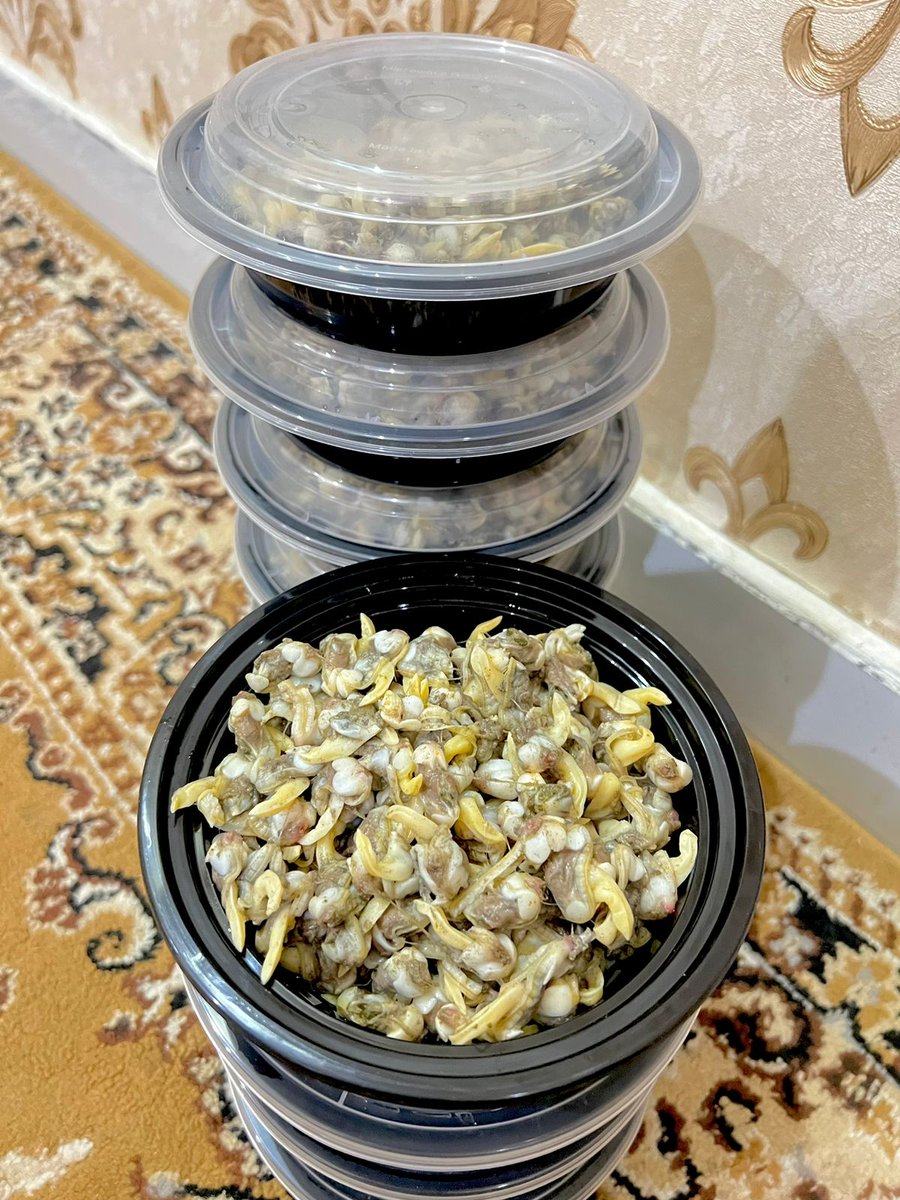 Albreki129's tweet image. أنا شاب عماني محتاج وقفتكم ودعمكم مسرح من العمل ومعيل أسرة وعلى ديون ومطلبات ماليه وانا الله يعلم بحالتي إنسان اترزق الله أبيع دوك علبه بريال ونص والله علشان أوفر لقمة العيشة لأسرتي يشهد الله ظروفي الماديه صعبه من يريد يشتري دوك يتفضل الخاص #نماء_لتوزيع_الكهرباء
#حادثه_العامرات