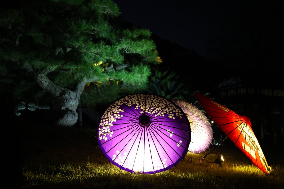 ritsuringarden's tweet image. 本日のライトアップの風景です。