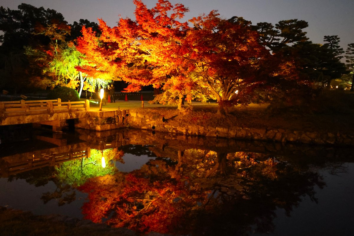 ritsuringarden's tweet image. 本日のライトアップの風景です。