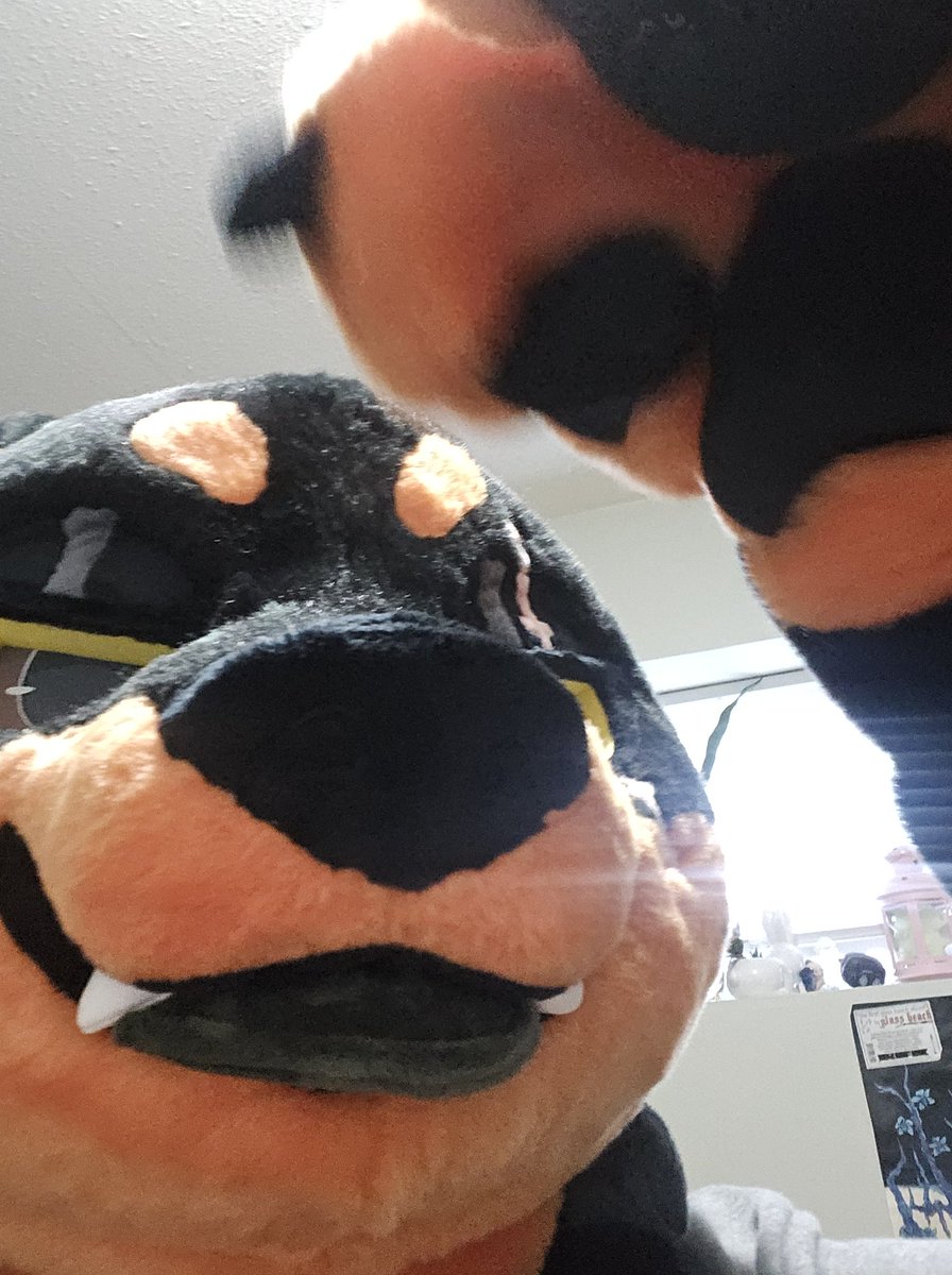 Zuko ♤◇ tweet media