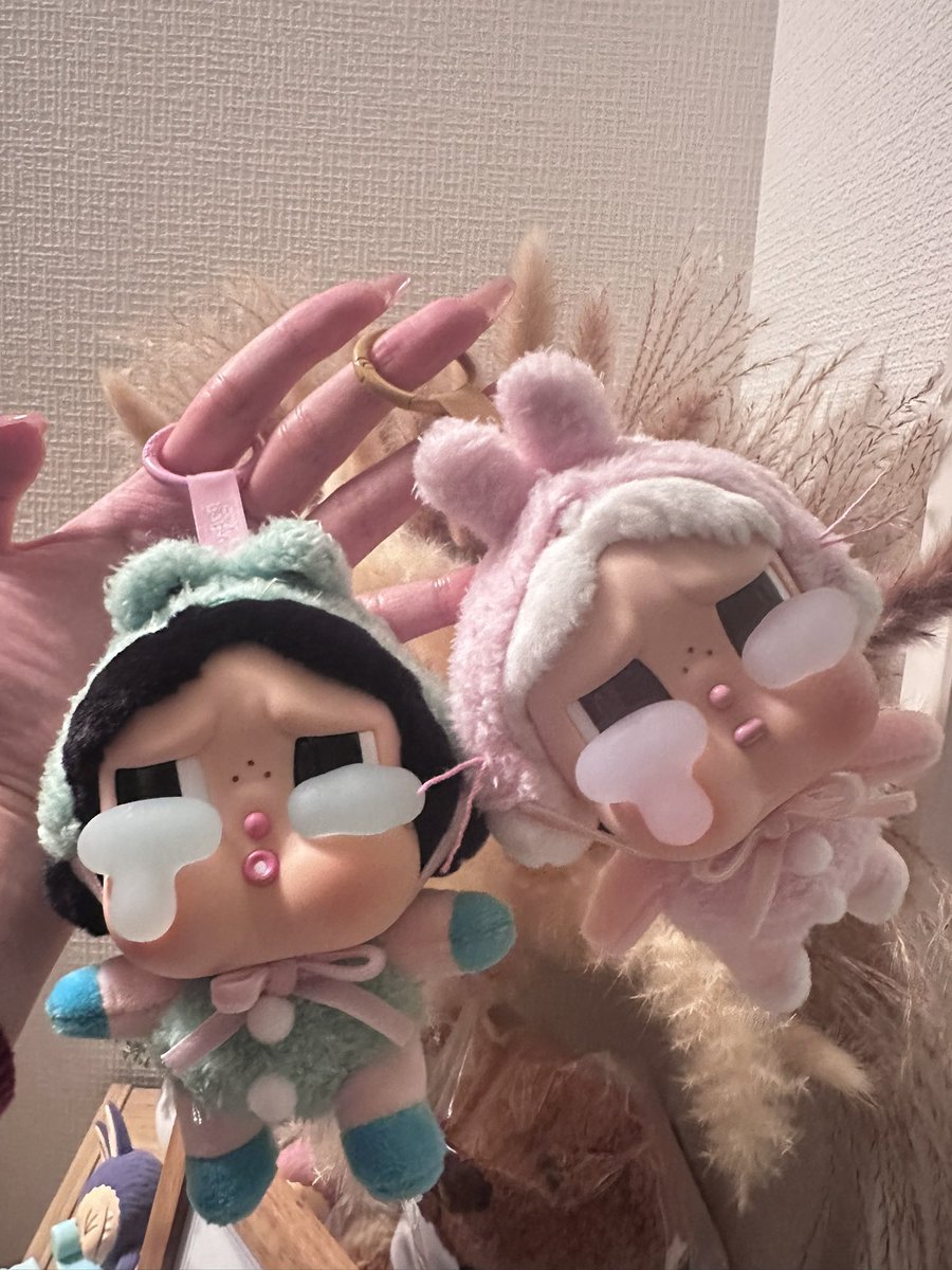 無事引越し完了🥺💛

🐜から届いた2箱
欲しかった🐰出てくれたから
あとは🐻ྀིさんで終わり(ت*)