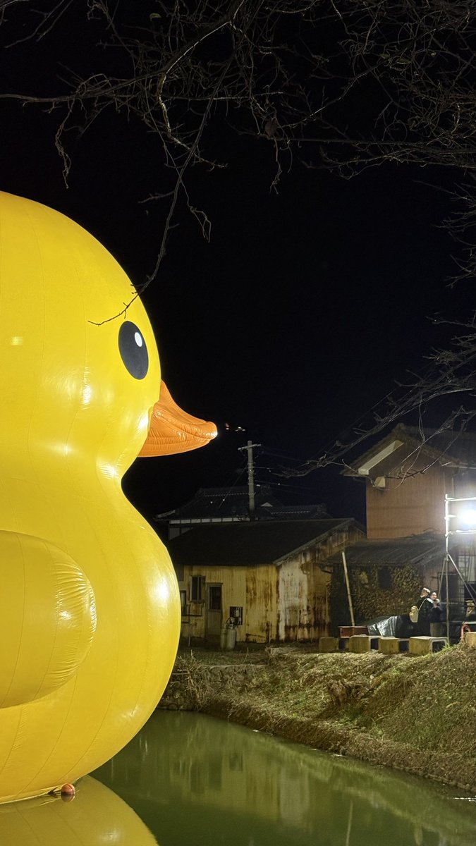 crazy_as's tweet image. ラバーダックの口先に飛行機をとらえた