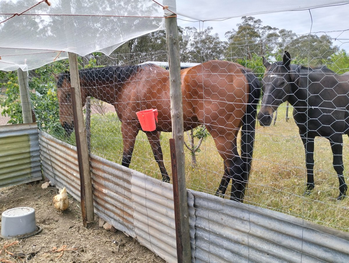 arthursrifle's tweet image. 