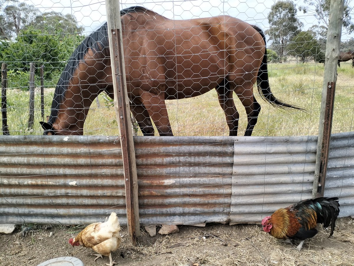 arthursrifle's tweet image. 