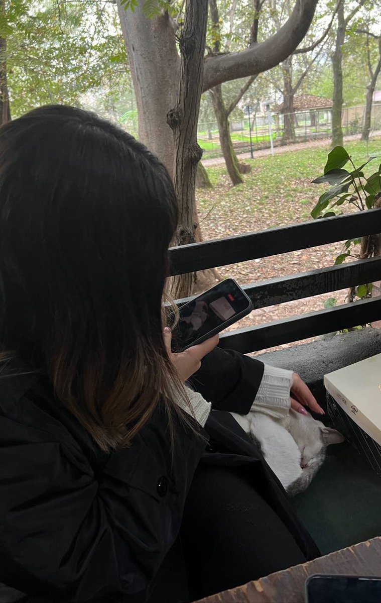 Marallii tweet media