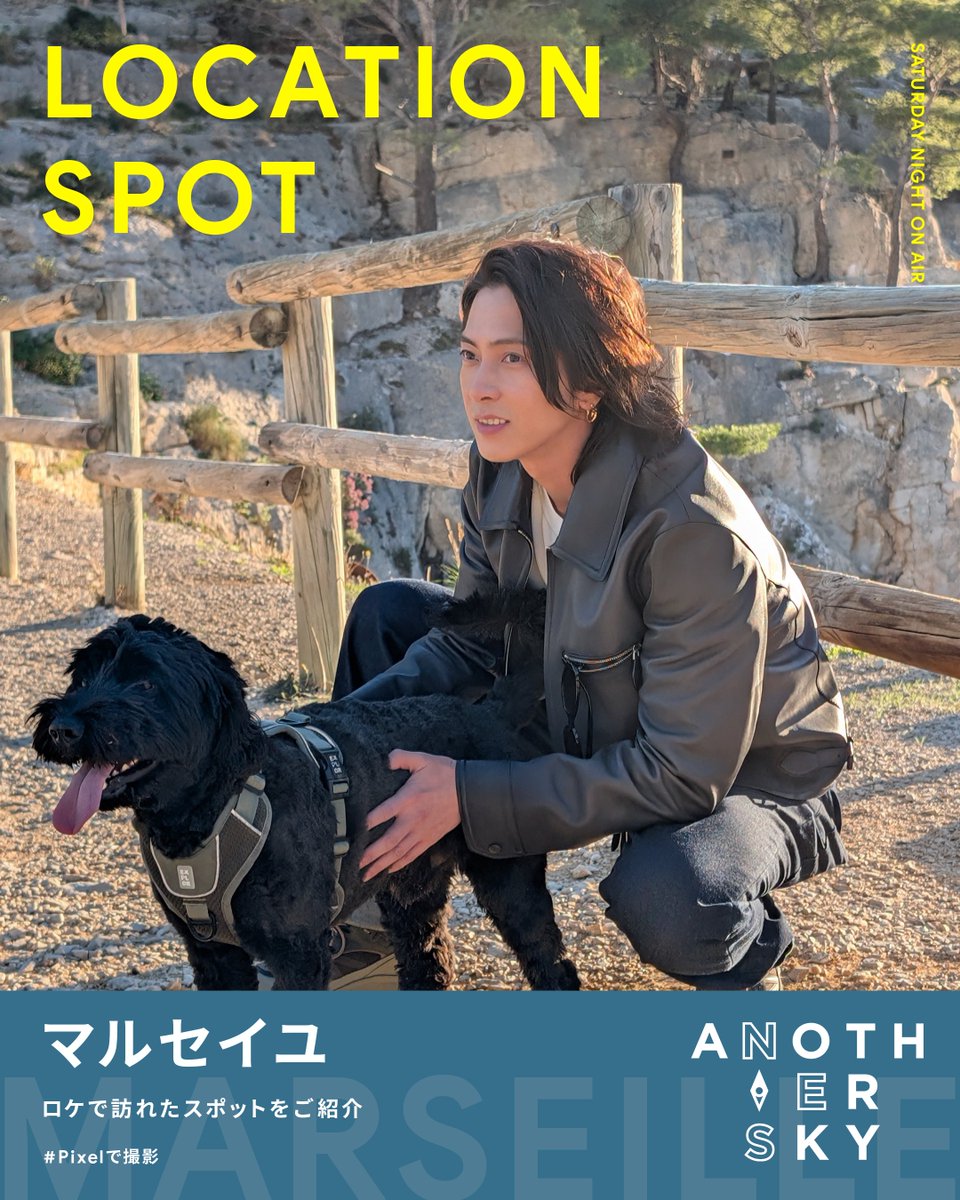 新品⭐️送料込み⭐️ANDY SUMMERS WALKING ON THE MOON Amazon | ELECTRO-HARMONIX/ANDY SUMMERS WALKING ON THE MOON ANALOG