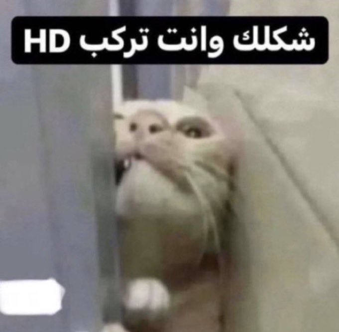 _su6an's tweet image. السبت الكروي