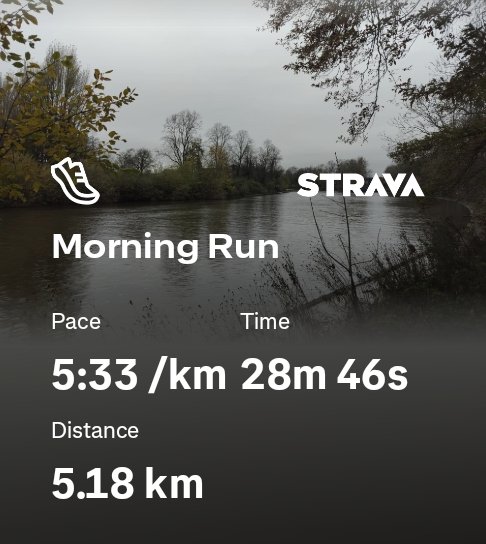 Morning 5km run 
Grey and damp, but a little warmer. Across the stray, past the barracks, and by the river. Lots of berries down the alley. 
Happy Saturday! 😃🏃‍♀️
#York #Running