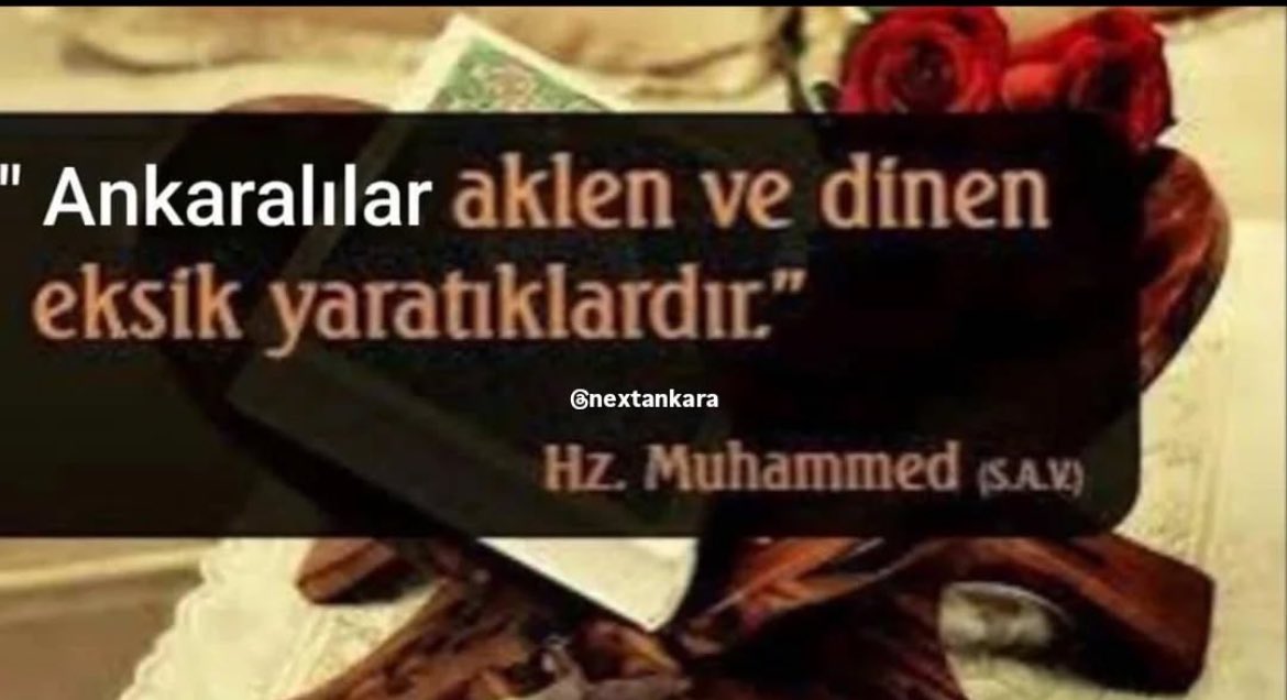 bizim ankara nefretinin geldigi nokta