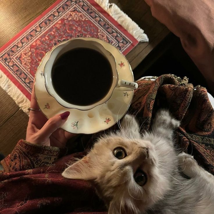 coffeeebreaak's tweet image. 