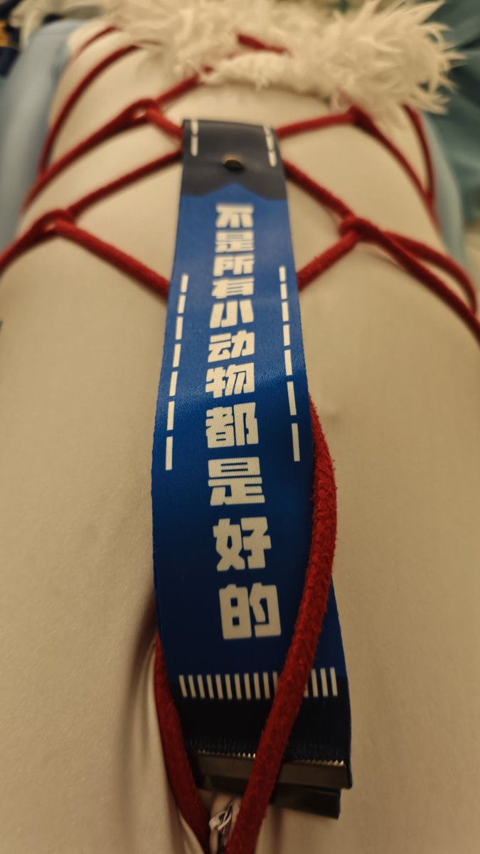 不是所有小动物都是好的😋