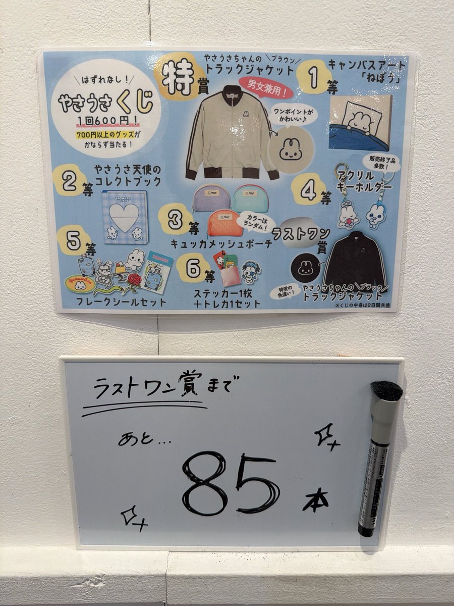 公式】やさうさちゃん情報局 (@yasausaofficial) / Posts / X